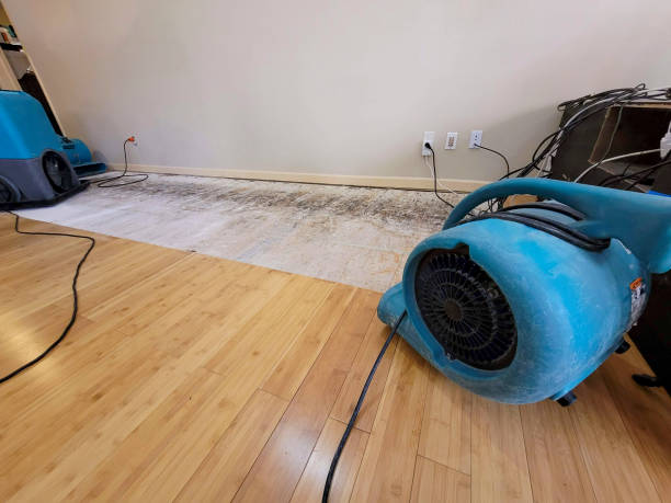 Professional Ceiling Water Damage Repair technician working in Millersburg, OH
